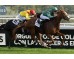  Carrera: P.Vichisky Caballo: Rush in the City Monta: A.Werle